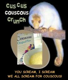 cuscus couscous crunch