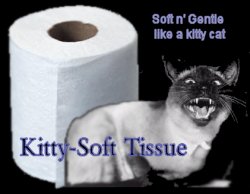 Kitty-Soft Tissue