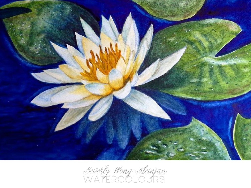 waterlily